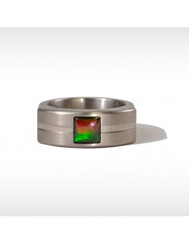 Dusk Ammolite Ring in Grey Polished Titanium en linge