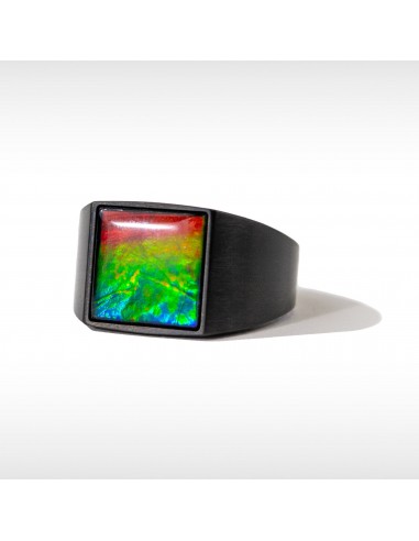 Midnight Ammolite Ring in Matte Black Titanium de la marque