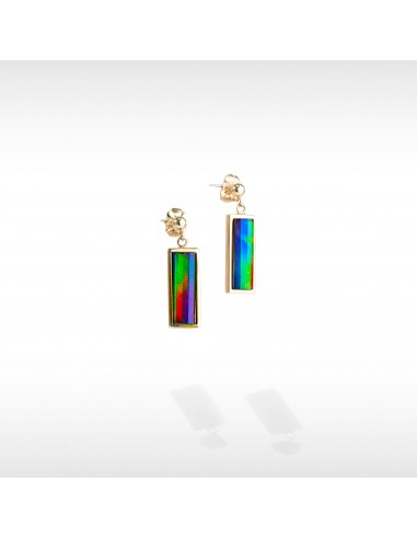 Women's 14K Gold A Grade Ammolite Earrings pour bénéficier 