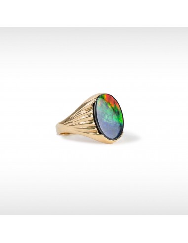 Men's Paul 14K Gold A or AA Grade Ammolite Ring 2024