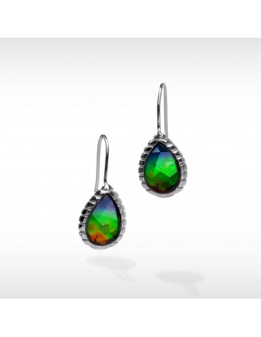 Women's Sterling Silver Ammolite Earrings sur le site 