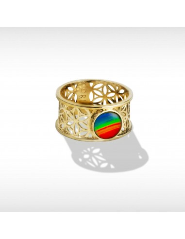 Baroque Ammolite Ring in 14K Gold d'Europe débarque