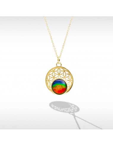 Baroque Ammolite Pendant in 14K Gold d'Europe débarque