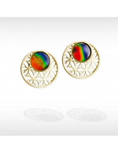 Baroque Ammolite Earrings in 14K Gold l'achat 