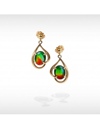 Women's Emmie 14K Gold A Grade Ammolite Earrings pas cher 