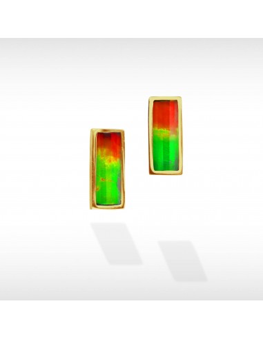 Women's Neda 14K Gold A Grade Ammolite Earrings pas cheres