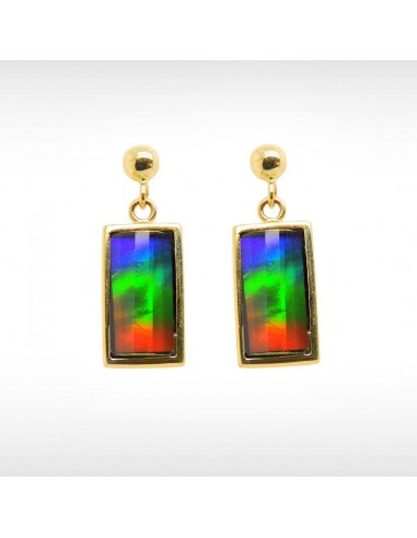 Women's Priscilla 14K Gold AA Grade Ammolite Earrings Véritable concentré