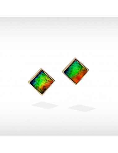 Women's Nola 14K Gold A Grade Ammolite Earrings online