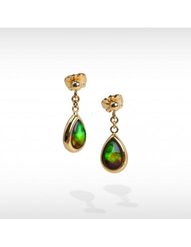 Women's 14K Gold A Grade Ammolite Earrings À commander