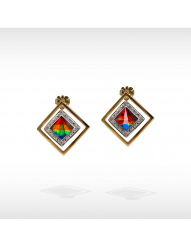 Women's 14K Gold A Grade Ammolite Earrings Amélioration de cerveau avec