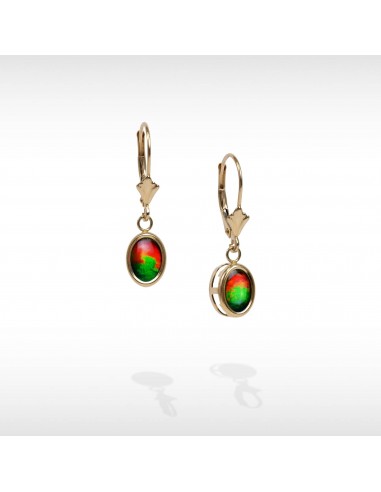 Women's Mila 14K Gold A Grade Ammolite Earrings des créatures d'habitude