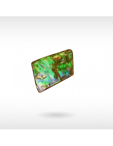 Freeform Ammolite - Handheld prix