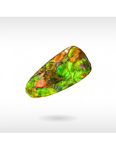 Freeform Ammolite - Handheld pas cher