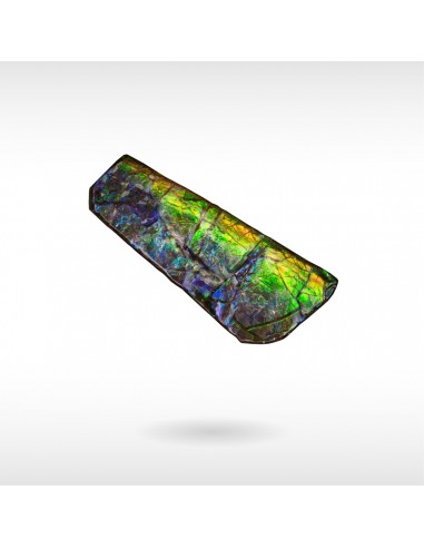 Freeform Ammolite - Handheld Paris Déstockage Promo