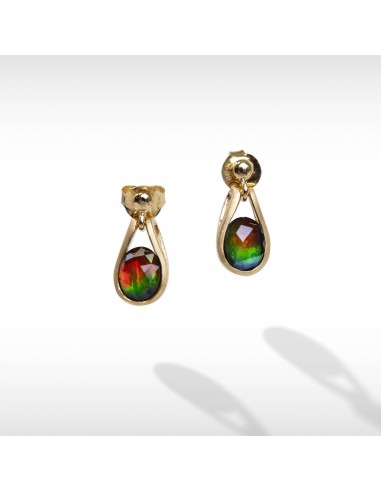 Women's Sterling Silver Ammolite Earrings paiement sécurisé