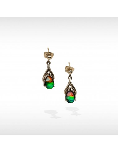 Women's Nina 14K Gold A Grade Ammolite Earrings vous aussi creer 