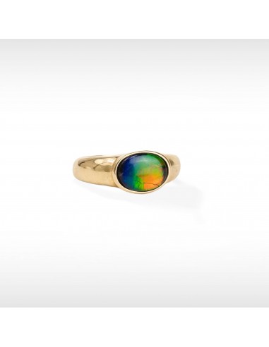 Women's Coby 14K Gold AA Grade Ammolite Ring livraison gratuite