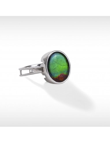 Women's Sterling Silver Ammolite Pendant-Ring meilleur choix