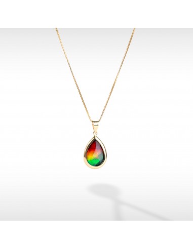 14K Gold A Grade Ammolite Pendant votre