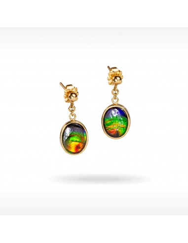 14K Gold A Grade Ammolite Earrings en ligne des produits 