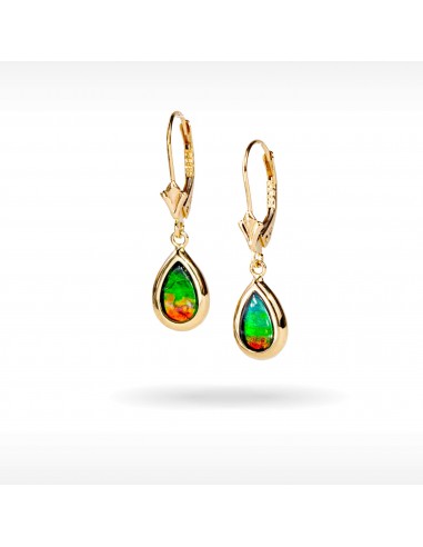 14K Gold A Grade Ammolite Earrings À commander