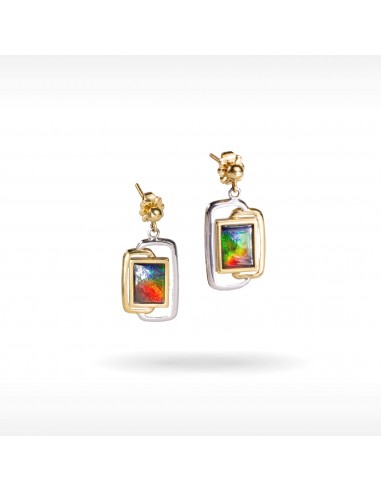 14K Gold A Grade Ammolite Earrings À commander